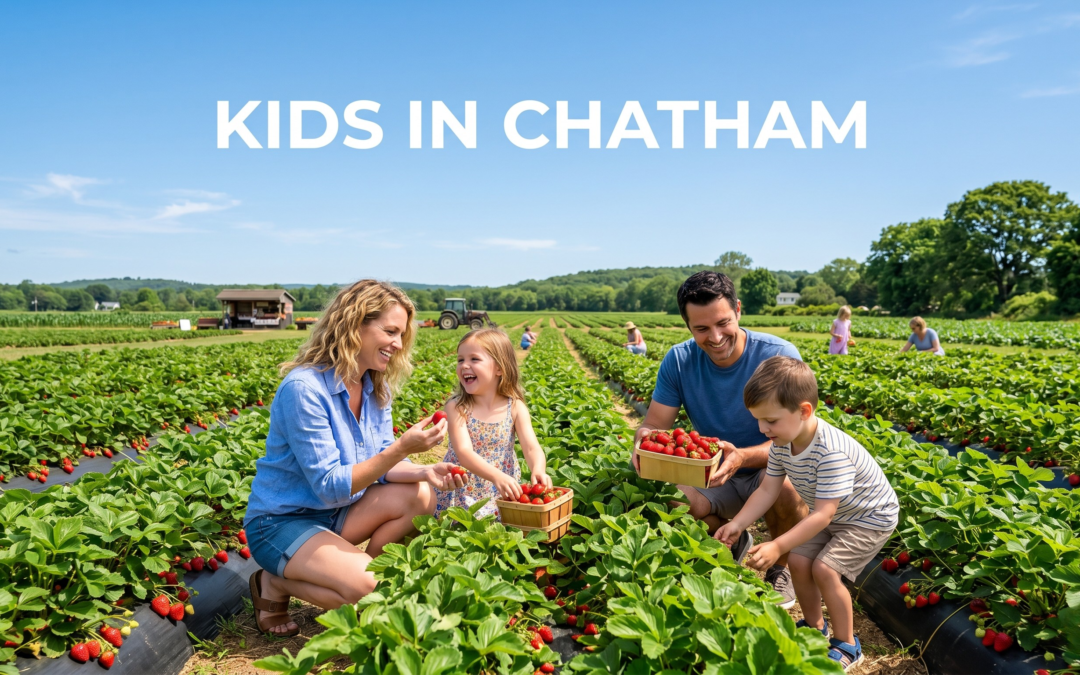 Where to take the kids in Chatham — a guide from Kent Motel’s front desk